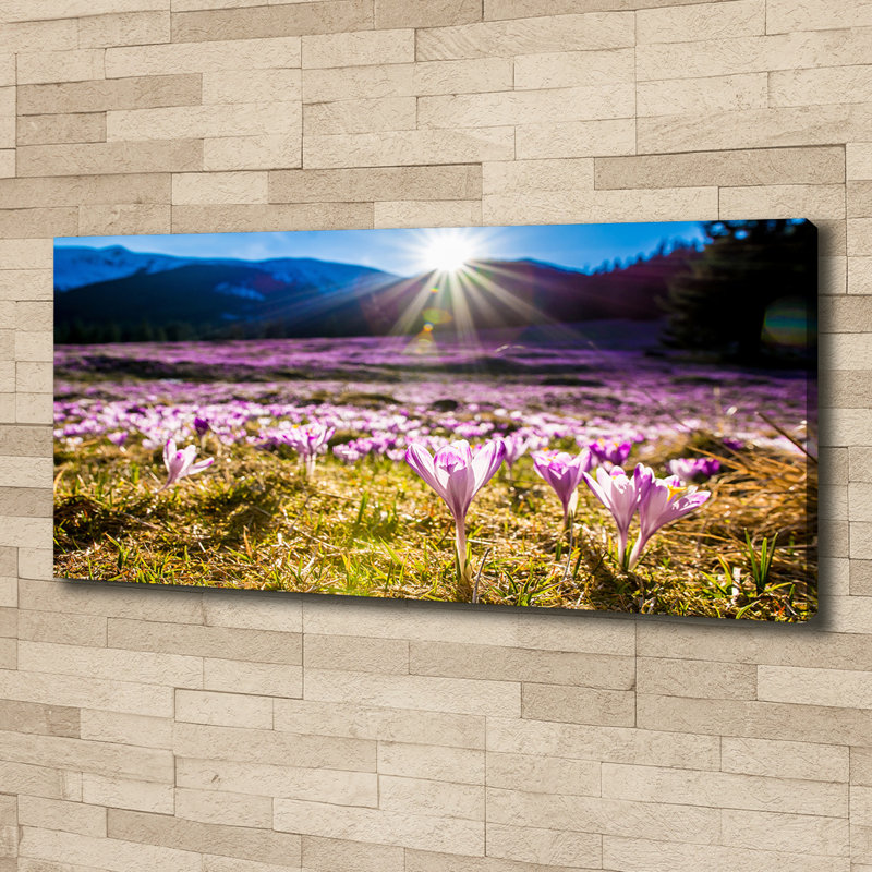 Crocusesi N The Clearing - Wrapped Canvas Print