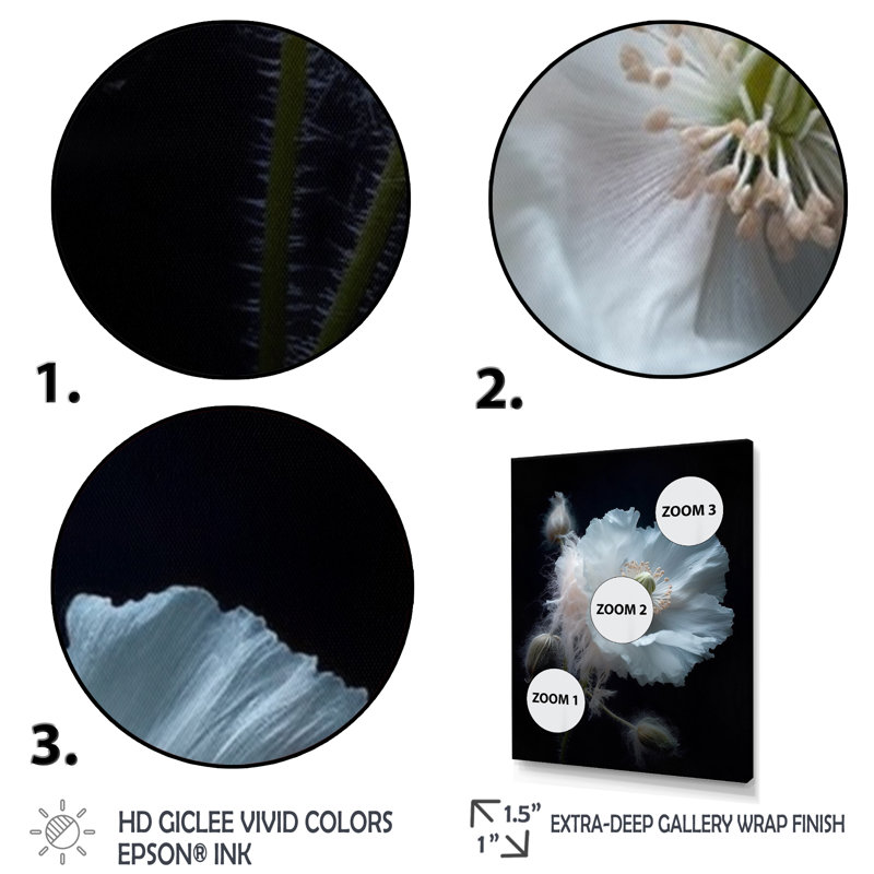 Coquelicots vibrants noirs et blancs sur toile, Cadre photo argenté, H 40 po x l 30 po x P 1,5 po