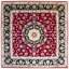 Oriental Area Rug-1682477668