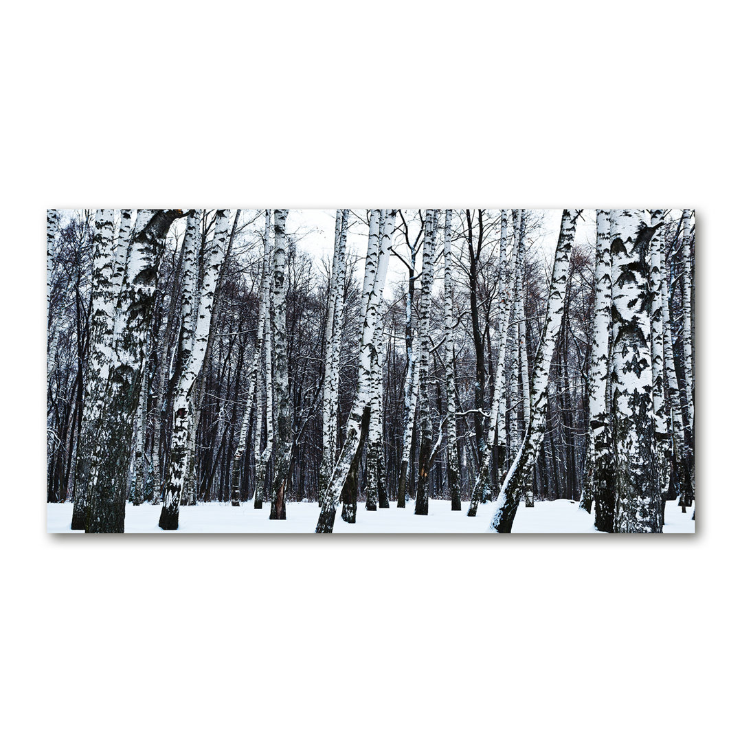 Winterbirken - Kunstdrucke auf Leinwand - Wrapped Canvas