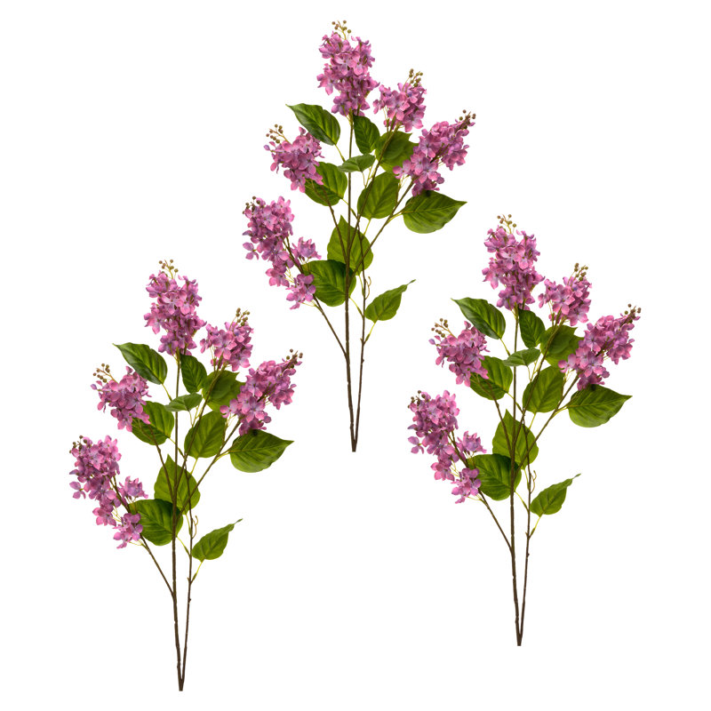 Vaporisateur lilas 40 "Spring Cut , Mauve