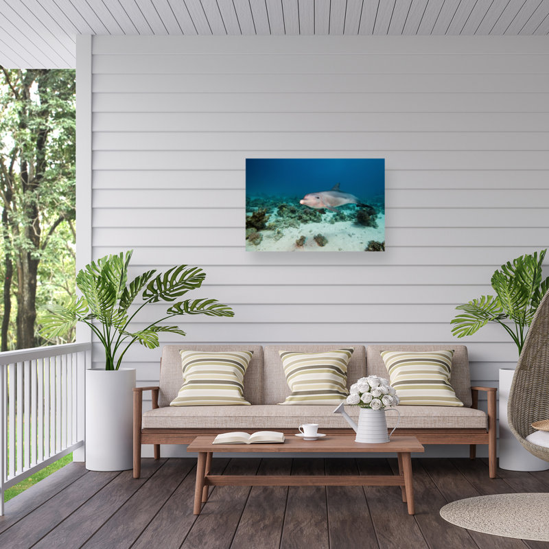 Animals Wall Decor, 16'' H x 24'' W