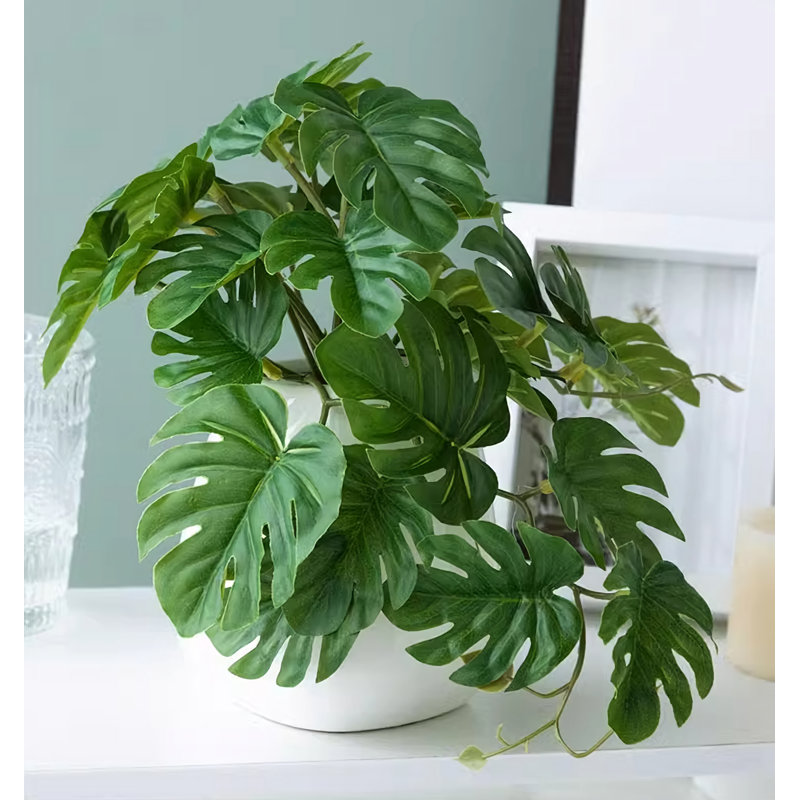 Simulation de fleurs et de plantes