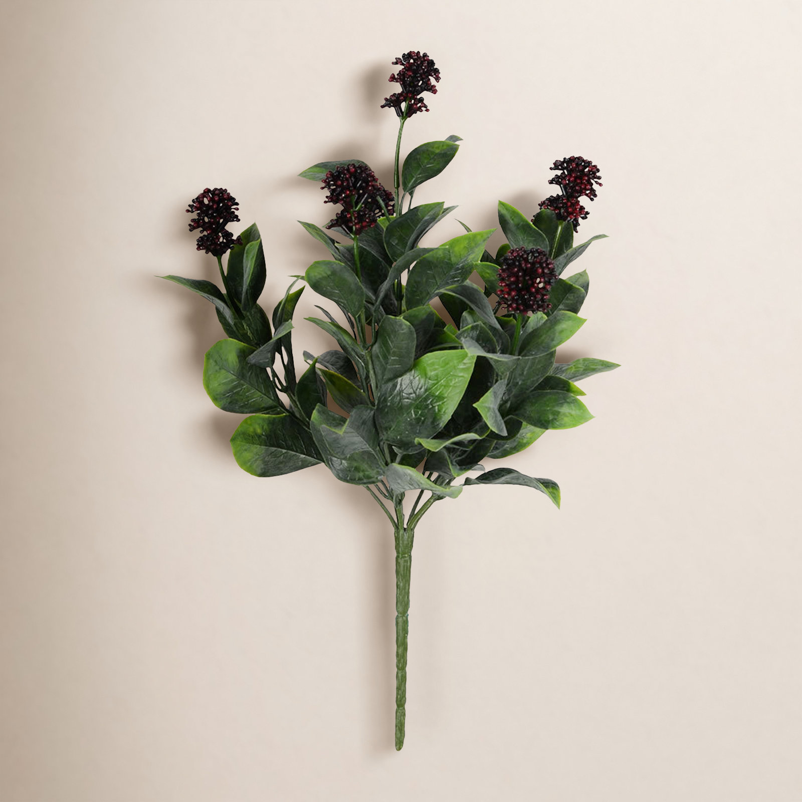 Berry Ficus Stems