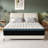 Alwyn Home Timera  Medium Hybrid Mattress-7704319-62865663