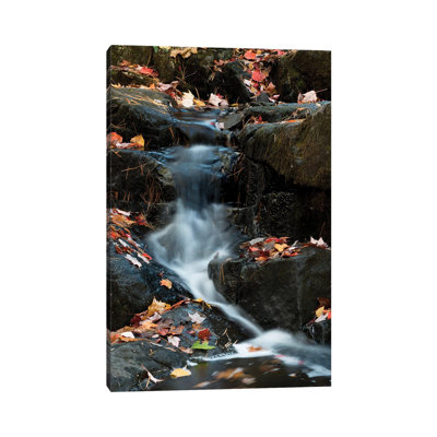USA, Maine. Autumn Leaves Along Small Waterfall On Duck Brook, Acadia National Park by Judith Zimmerman - Wrapped Canvas Print