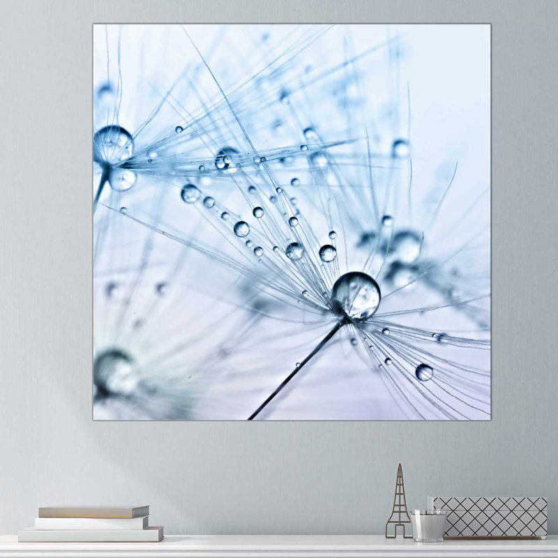 « pissenlit sparkle », reproduction de photo sur toile tendue, H 24 po x l 24 po x P 1,5 po