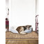 Tapis de cuisine Faasulu-1864216881-1864217003