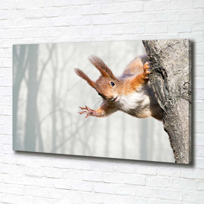 Squirrel - Wrapped Canvas Print