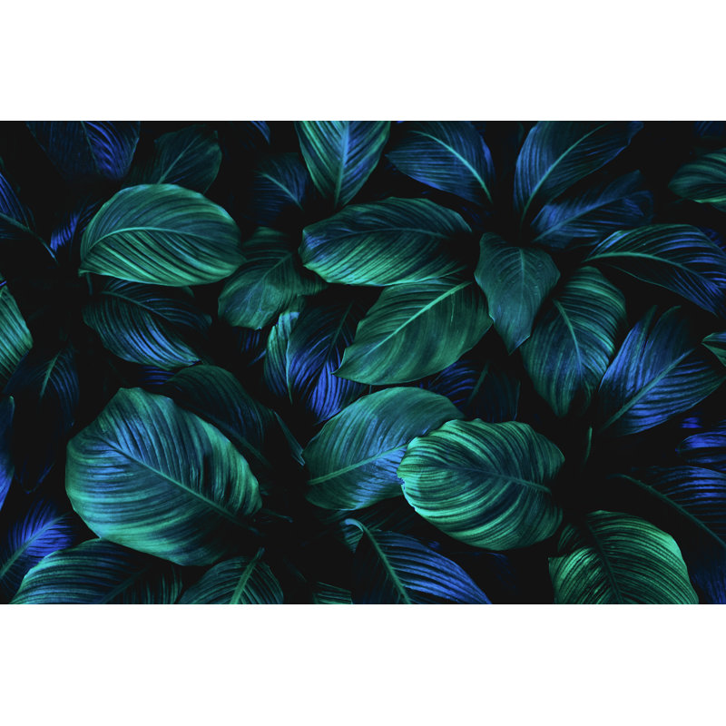 Abstrait feuilles vertes - Photographie sur toile tendue, H 32 po x l 48 po