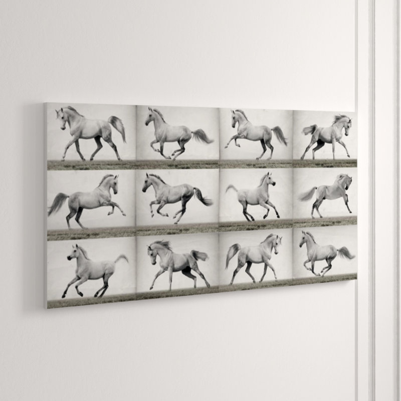 Horses In Motion Print by Sofia Fox, 30" H x 60" W x 1.5" D, Glass Coat
