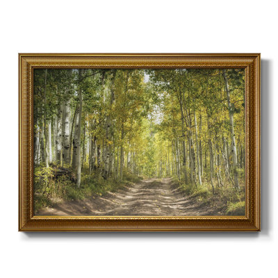 " Aspen Drive " Painting