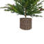 Arbre saisonnier verdure BSKT 3 pi