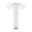 Raindance E Extension Pipe for Ceiling Mount Replacement 3.125" Coordinating Shower Arm-90860728