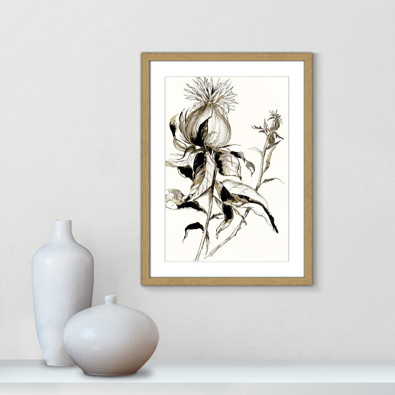 Botanical Seed II par - impression, H 23 po x l 17 po x P 0,75 po, Encadré naturel