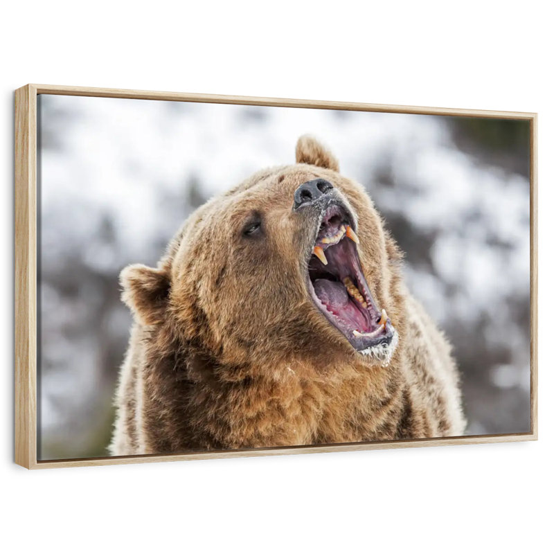 Grizzly rugissant, Cadre flottant en bois naturel, 37 po x 25 po