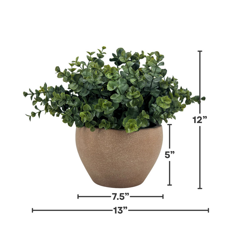 Pot cache-cache en céramique Faux Green Eucalyptus, Terracotta Wash