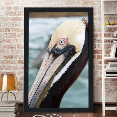 " Bayside Pelican " by Debbie O'dell