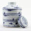 Handcrafted Porcelain China Ginger Jar