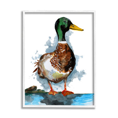 " Mallard Duck Water's Edge " by Sebastian Grafmann