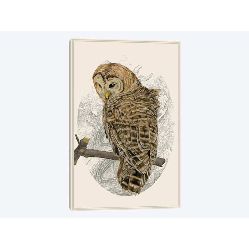 « barred hibou ii », impression sur toile, H 26 po x l 18 po x P 1,5 po