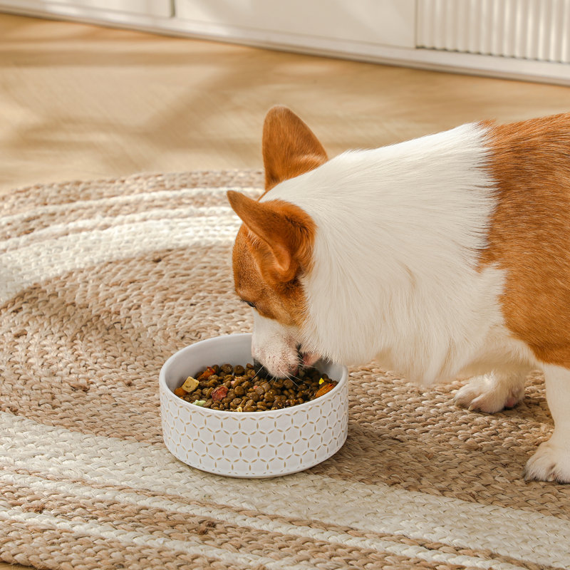 Hexagon Embossed Pattern Anti-skid Stoneware Dog Bowl, 1080ml