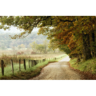 "Autumn on a Country Road" par Danny Head, reproduction de photo