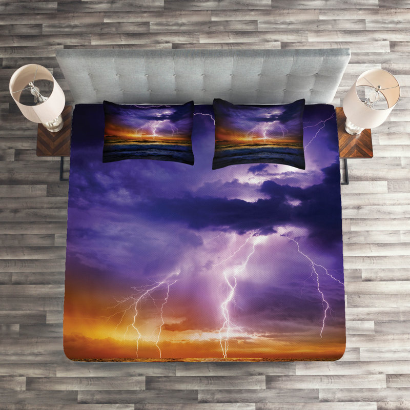 Modern & Contemporary Polyester Coverlet