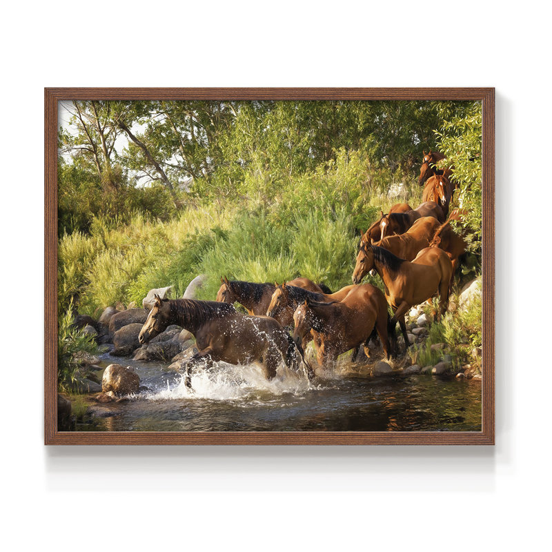 Sunlit Horses IV -Framed Print - Restickable, H 16 po x l 20 po, Noyer