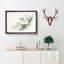 Albatross by Numata Kashu - Picture Frame Painting Print-55683106-55683107