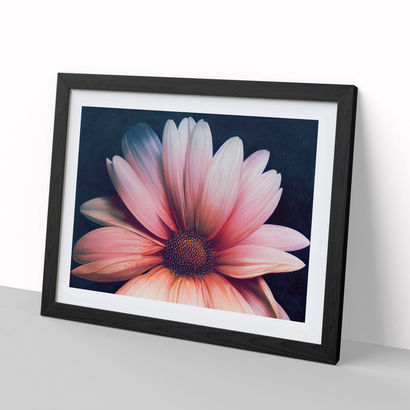 Handsome Daisy Flower - Single Picture Frame Print, Black Framed, 46cm H x 64cm W x 2cm D