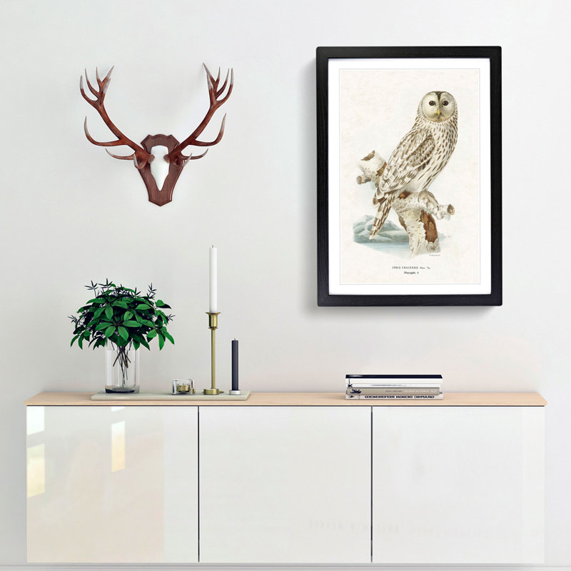 Ural Owl by Von Wright - Picture Frame Graphic Art Print, 48cm H x 36cm W x 2cm D, Black Framed