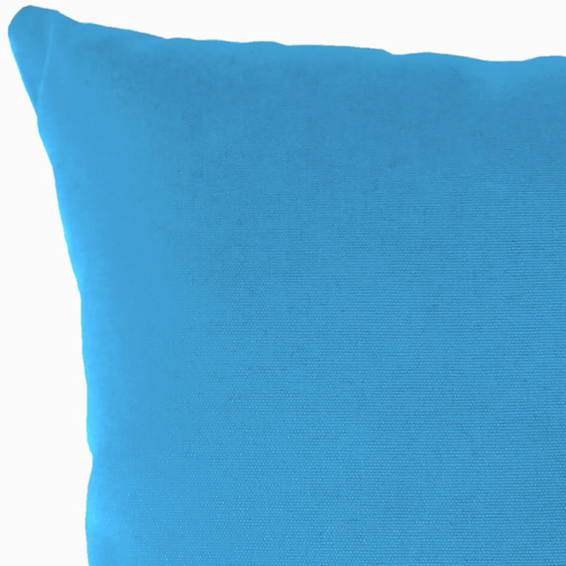 Sunbrella Outdoor Throw Pillow, Canvas Capri Sunbrella® Canvas
