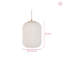 Aaronsburg 1 - Light Single Pendant