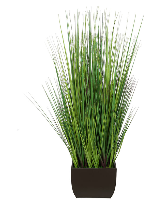 Herbe à feuillage en pot 50 po, Brun mat