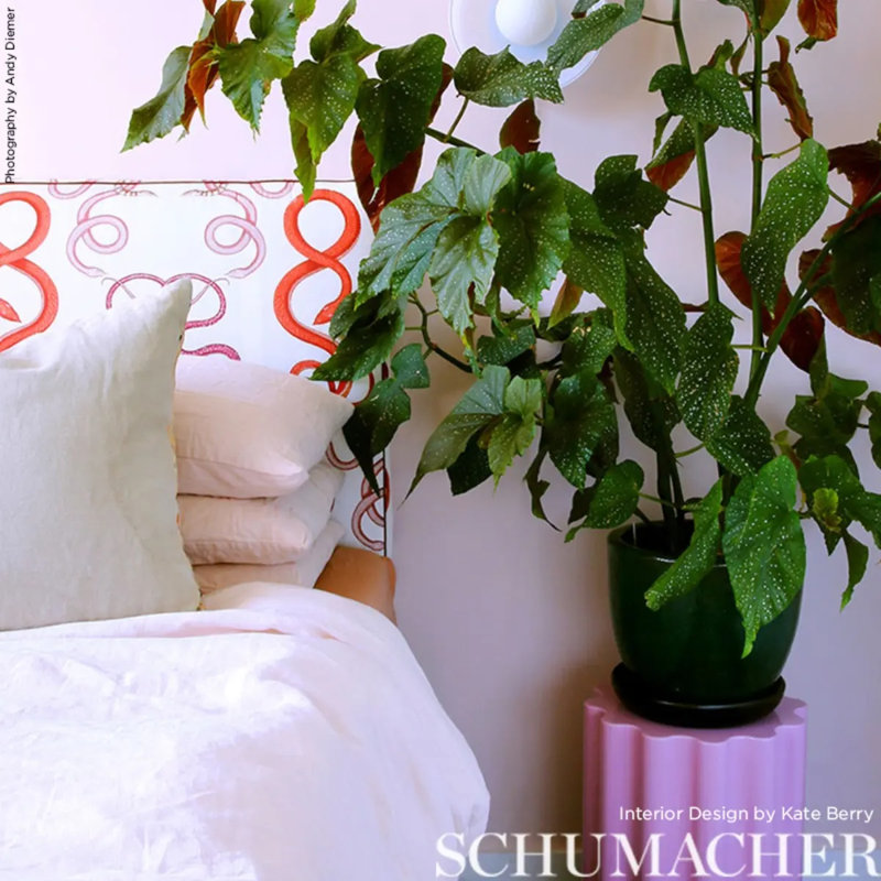 Papier peint Schumacher x Charlap Hyman & Herrero Giove, Rubis / grenat