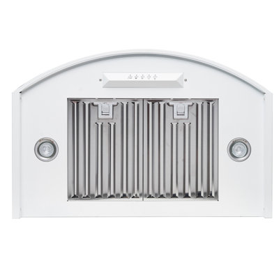 30-in Convertible 343 CFM Stainless Steel Wall Mount Range Hood with Carbon Filter