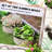 2 Galvanized Raised Garden Beds, Cream White. Planters For Outdoor Plants. Simple To Assemble Growing Various Flowers And Veggies. Metal, 23.5" Diameter X 11.4" Height Bed, White Cream. Safe Edge