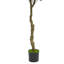 180cm Faux Olive Tree Tree in Planter