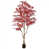 Rouge est en rupture de stock