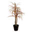 24 po Faux Dracaena plante en pot