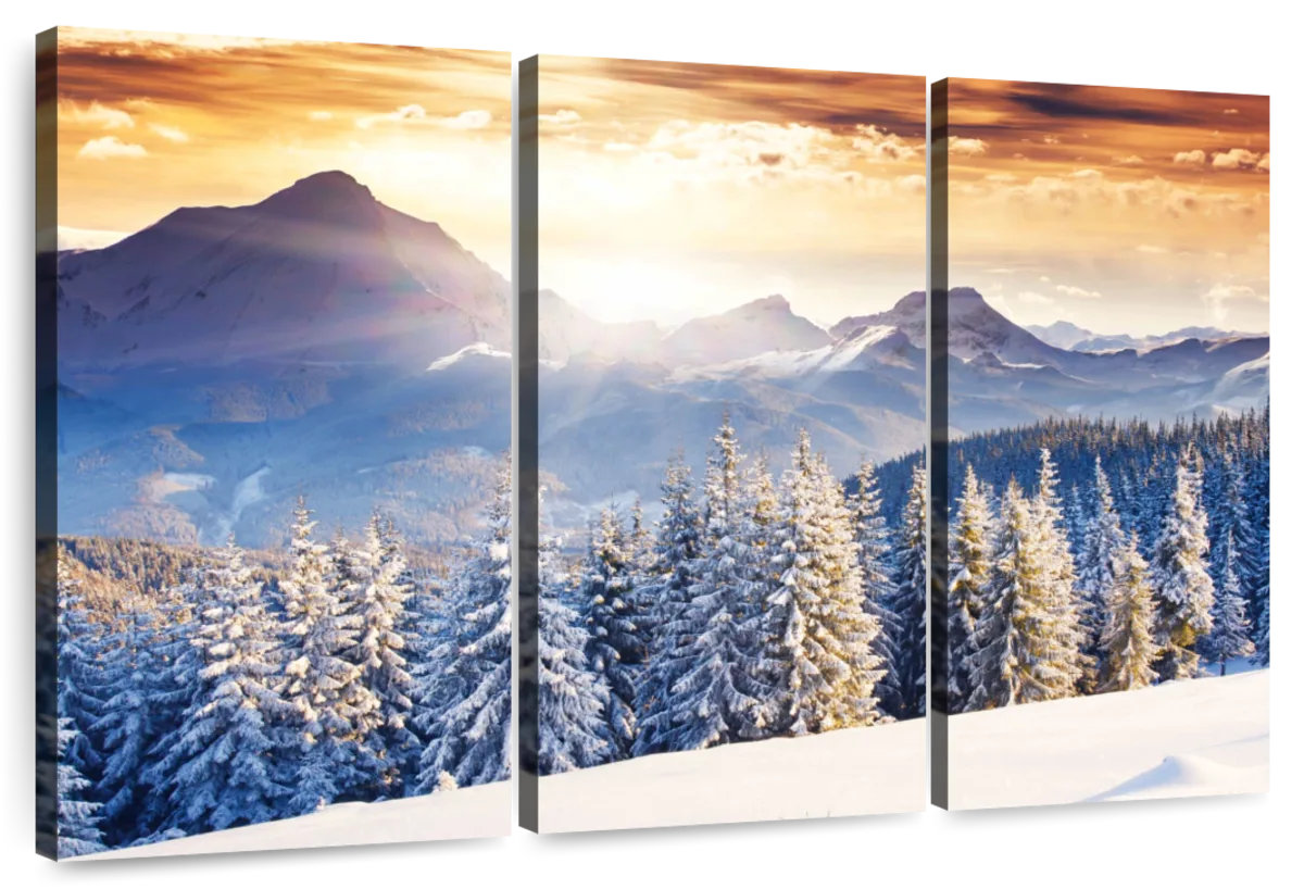 Millwood Pines Alvord Austrian Winter Landscape At Sunset | Wayfair
