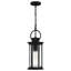 Abdelmalek 1-Light Matte Black Mini Pendant Light