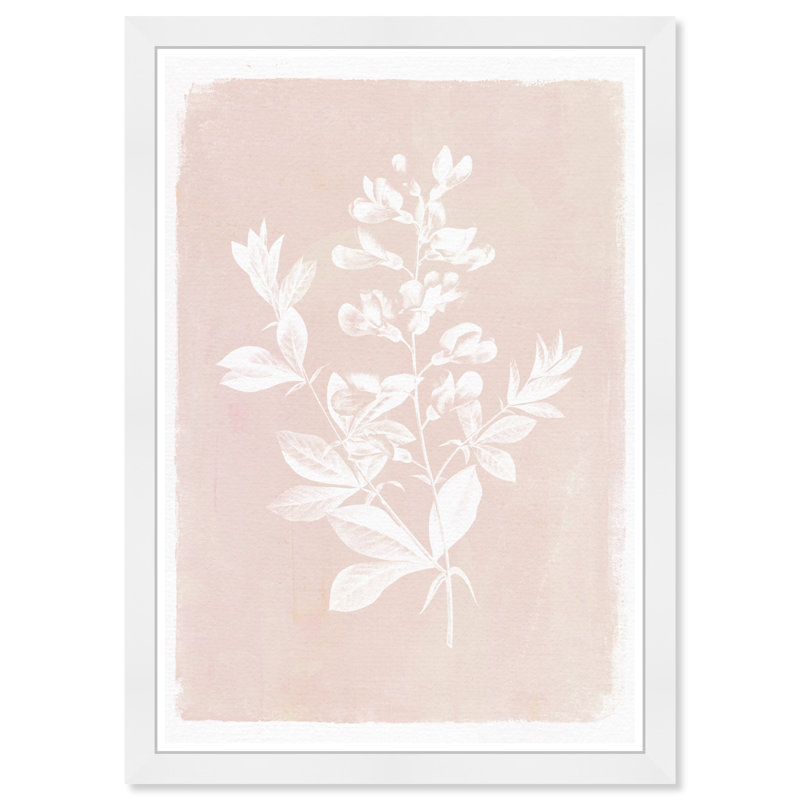 Botanical Illustration IV, art encadré