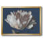 Pivoine blanche encadrée sur toile-95888697-95888696