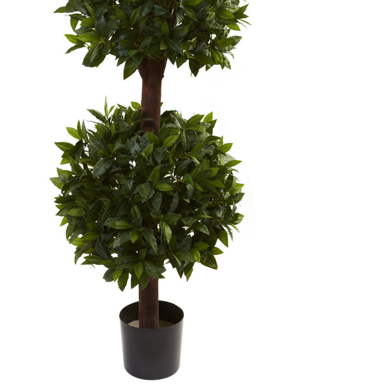 Topiaire à trois billes en pot doux bay, H 78 po x l 26 po x P 26 po