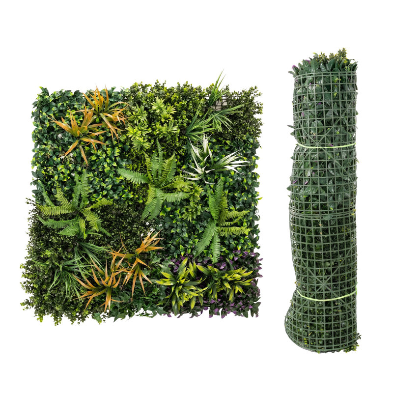 Plant
