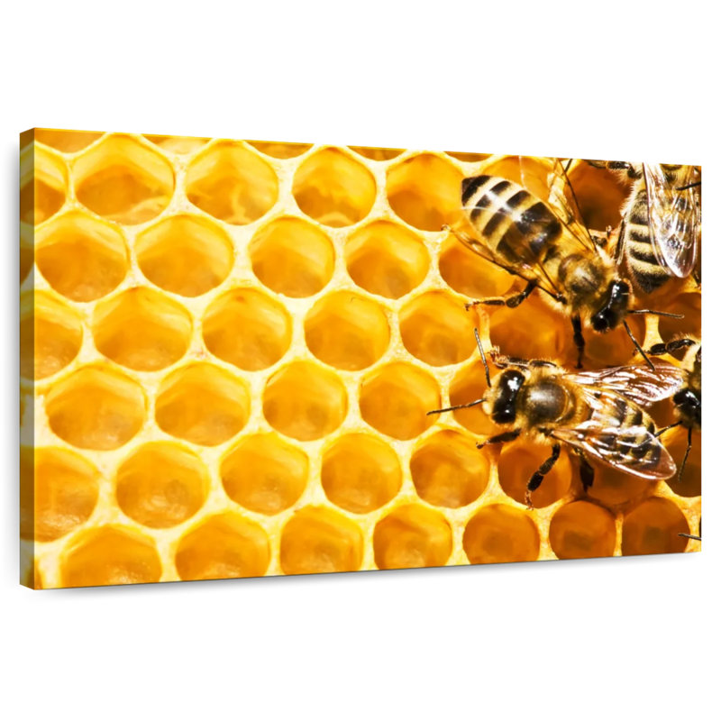 Brampt Honey Bee Hive, 8" H x 12" W