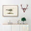 A Common Gull by Von Wright - Single Picture Frame Painting-55457434-55457436