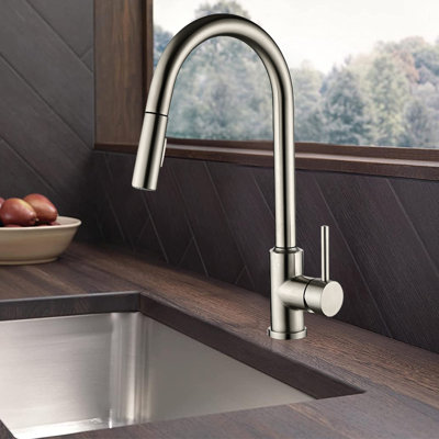 FB Pull Down Kitchen Faucet